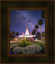 Load image into Gallery viewer, Oakland Starry Eyed