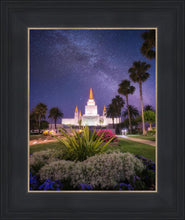 Load image into Gallery viewer, Oakland Starry Eyed