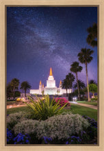 Load image into Gallery viewer, Oakland Starry Eyed