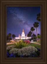 Load image into Gallery viewer, Oakland Starry Eyed