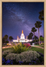 Load image into Gallery viewer, Oakland Starry Eyed