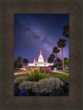 Load image into Gallery viewer, Oakland Starry Eyed