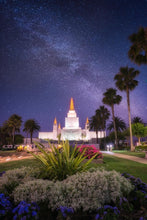 Load image into Gallery viewer, Oakland Starry Eyed