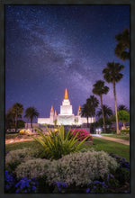 Load image into Gallery viewer, Oakland Starry Eyed