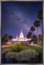 Load image into Gallery viewer, Oakland Starry Eyed