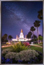 Load image into Gallery viewer, Oakland Starry Eyed