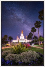 Load image into Gallery viewer, Oakland Starry Eyed