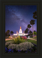 Load image into Gallery viewer, Oakland Starry Eyed