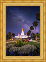 Load image into Gallery viewer, Oakland Starry Eyed