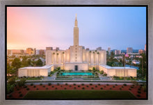 Load image into Gallery viewer, Los Angeles From On High