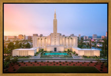 Load image into Gallery viewer, Los Angeles From On High
