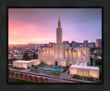 Load image into Gallery viewer, Los Angeles Weathering the Storm