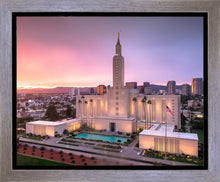 Load image into Gallery viewer, Los Angeles Weathering the Storm