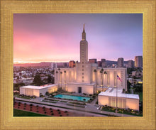 Load image into Gallery viewer, Los Angeles Weathering the Storm