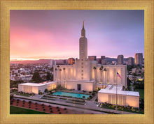 Load image into Gallery viewer, Los Angeles Weathering the Storm