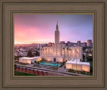 Load image into Gallery viewer, Los Angeles Weathering the Storm