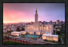 Load image into Gallery viewer, Los Angeles Weathering the Storm
