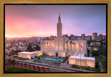 Load image into Gallery viewer, Los Angeles Weathering the Storm