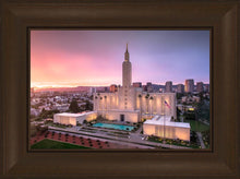 Load image into Gallery viewer, Los Angeles Weathering the Storm