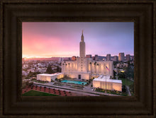 Load image into Gallery viewer, Los Angeles Weathering the Storm