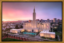 Load image into Gallery viewer, Los Angeles Weathering the Storm