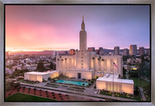 Load image into Gallery viewer, Los Angeles Weathering the Storm