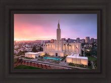 Load image into Gallery viewer, Los Angeles Weathering the Storm