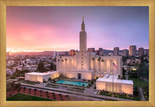 Load image into Gallery viewer, Los Angeles Weathering the Storm