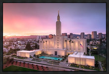 Load image into Gallery viewer, Los Angeles Weathering the Storm