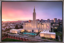 Load image into Gallery viewer, Los Angeles Weathering the Storm