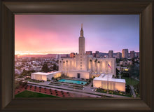 Load image into Gallery viewer, Los Angeles Weathering the Storm