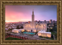 Load image into Gallery viewer, Los Angeles Weathering the Storm