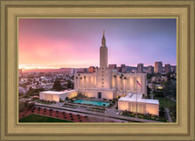 Load image into Gallery viewer, Los Angeles Weathering the Storm