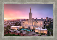 Load image into Gallery viewer, Los Angeles Weathering the Storm