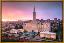 Load image into Gallery viewer, Los Angeles Weathering the Storm