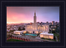 Load image into Gallery viewer, Los Angeles Weathering the Storm