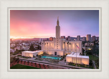 Load image into Gallery viewer, Los Angeles Weathering the Storm