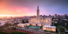 Load image into Gallery viewer, Los Angeles Weathering the Storm