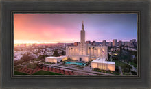 Load image into Gallery viewer, Los Angeles Weathering the Storm