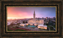 Load image into Gallery viewer, Los Angeles Weathering the Storm