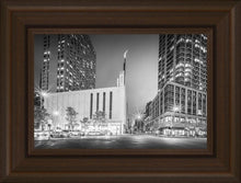 Load image into Gallery viewer, New York Panorama