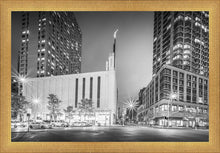 Load image into Gallery viewer, New York Panorama