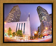 Load image into Gallery viewer, Manhattan Night Fisheye