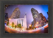 Load image into Gallery viewer, Manhattan Night Fisheye