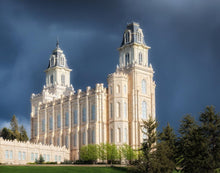 Load image into Gallery viewer, Manti - Stormy Skies