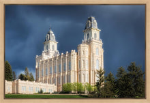 Load image into Gallery viewer, Manti - Stormy Skies