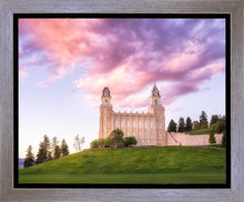 Load image into Gallery viewer, Manti Cotton Candy