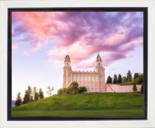 Load image into Gallery viewer, Manti Cotton Candy