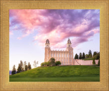Load image into Gallery viewer, Manti Cotton Candy