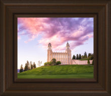 Load image into Gallery viewer, Manti Cotton Candy